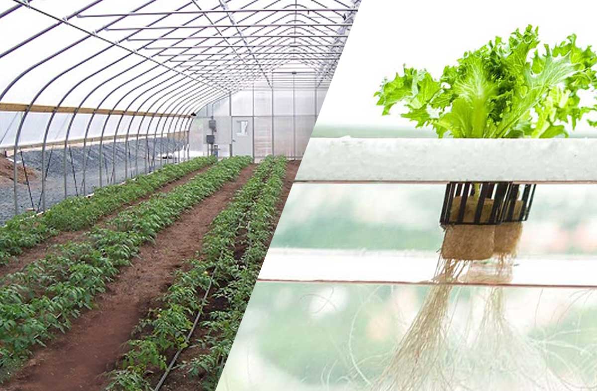 کشت هیدروپونیک در برابر کشت در خاک - شرکت تولیدی بازرگانی یشیل فرتاک ارس در ایران